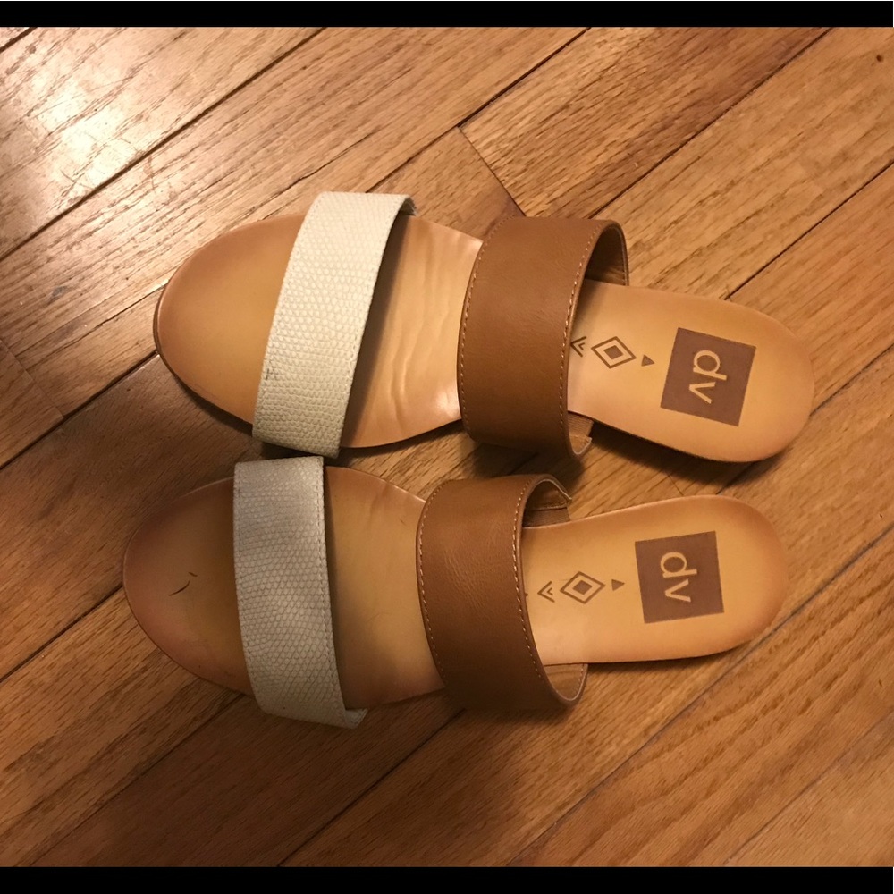 DV slides